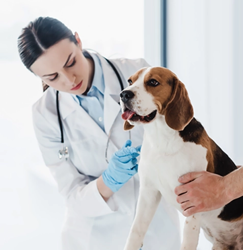 Tufanbeyli Veteriner