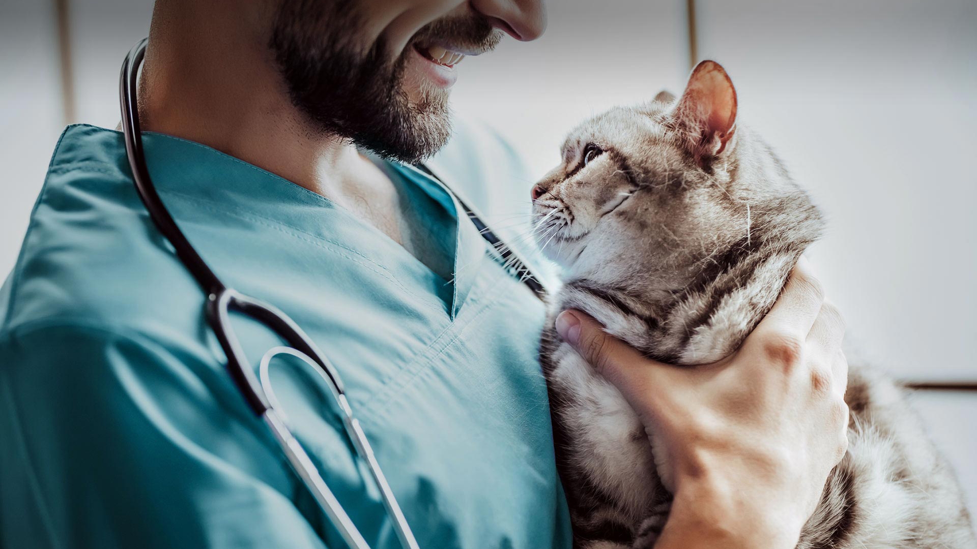 Tufanbeyli Veteriner